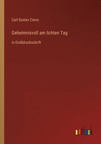 bokomslag Geheimnisvoll am lichten Tag