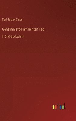 bokomslag Geheimnisvoll am lichten Tag