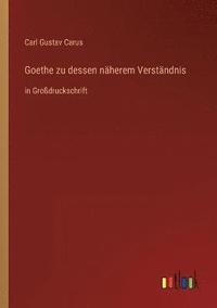 bokomslag Goethe zu dessen naherem Verstandnis