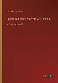 bokomslag Goethe zu dessen näherem Verständnis