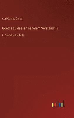 bokomslag Goethe zu dessen nherem Verstndnis