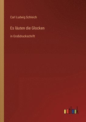 Carl Ludwig Schleich - Es läuten die Glocken, Häftad