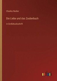 bokomslag Die Liebe und das Zauberbuch