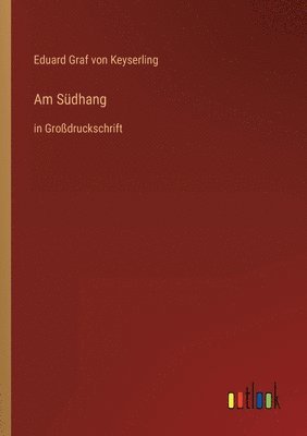 bokomslag Am Südhang
