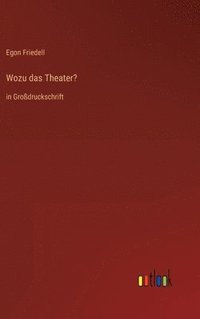 bokomslag Wozu das Theater?