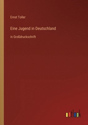 Ernst Toller - Eine Jugend in Deutschland, Häftad
