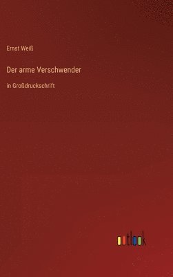 bokomslag Der arme Verschwender