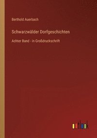 bokomslag Schwarzwalder Dorfgeschichten