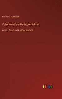 bokomslag Schwarzwlder Dorfgeschichten