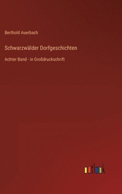 bokomslag Schwarzwlder Dorfgeschichten