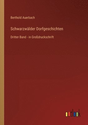 bokomslag Schwarzwalder Dorfgeschichten