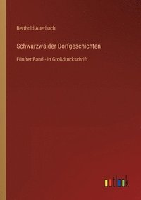 bokomslag Schwarzwalder Dorfgeschichten