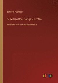 bokomslag Schwarzwälder Dorfgeschichten