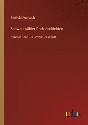 bokomslag Schwarzwälder Dorfgeschichten