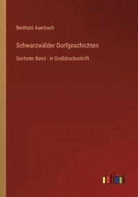 bokomslag Schwarzwälder Dorfgeschichten