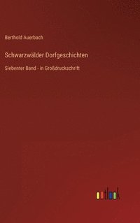 bokomslag Schwarzwlder Dorfgeschichten