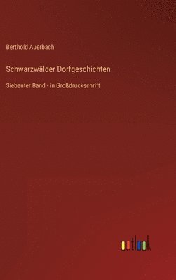 bokomslag Schwarzwlder Dorfgeschichten