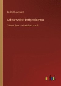 bokomslag Schwarzwalder Dorfgeschichten