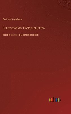bokomslag Schwarzwälder Dorfgeschichten