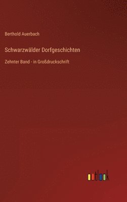 bokomslag Schwarzwlder Dorfgeschichten