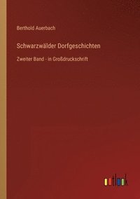bokomslag Schwarzwälder Dorfgeschichten