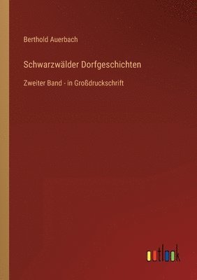 bokomslag Schwarzwälder Dorfgeschichten