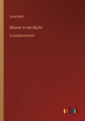 bokomslag Männer in der Nacht
