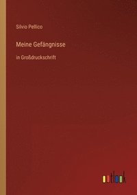 bokomslag Meine Gefängnisse