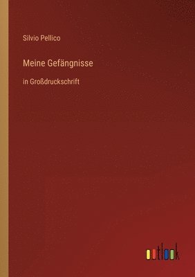 bokomslag Meine Gefängnisse