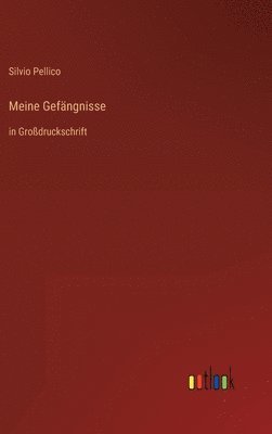 Meine Gefängnisse