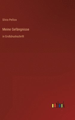 Meine Gefngnisse 1