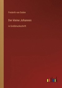 bokomslag Der kleine Johannes