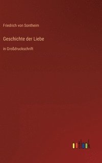 bokomslag Geschichte der Liebe