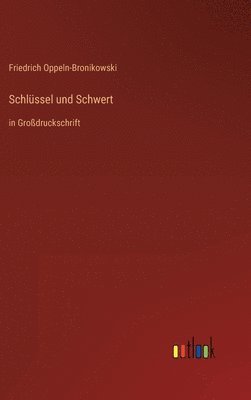 bokomslag Schlssel und Schwert