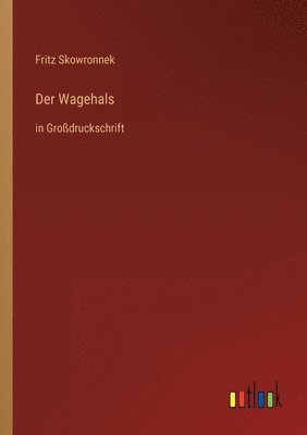 bokomslag Der Wagehals