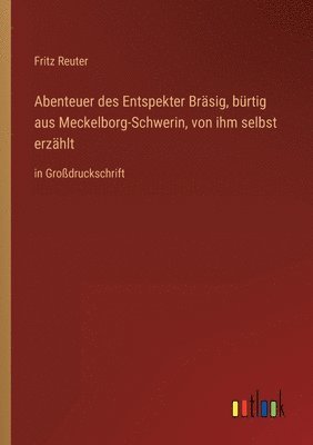 bokomslag Abenteuer des Entspekter Brasig, burtig aus Meckelborg-Schwerin, von ihm selbst erzahlt