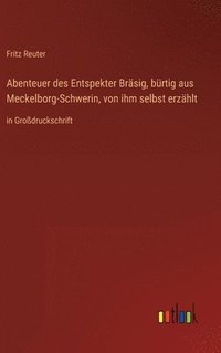 bokomslag Abenteuer des Entspekter Brsig, brtig aus Meckelborg-Schwerin, von ihm selbst erzhlt