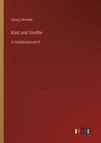 bokomslag Kant und Goethe