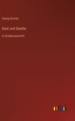 bokomslag Kant und Goethe