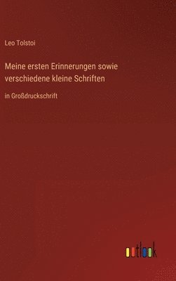 bokomslag Meine ersten Erinnerungen sowie verschiedene kleine Schriften