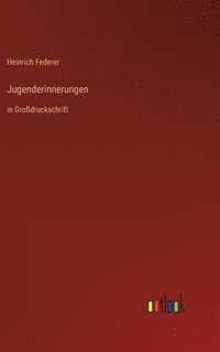 bokomslag Jugenderinnerungen