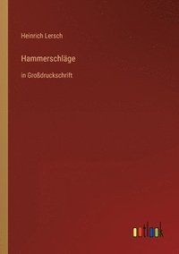 bokomslag Hammerschläge