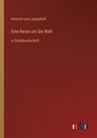 bokomslag Eine Reise um die Welt
