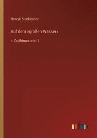 bokomslag Auf dem großen Wasser