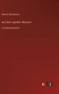 bokomslag Auf dem großen Wasser
