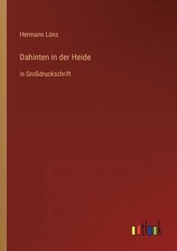 bokomslag Dahinten in der Heide