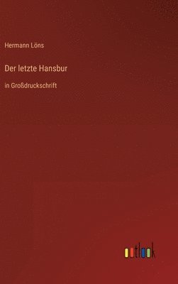 bokomslag Der letzte Hansbur