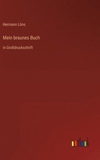 bokomslag Mein braunes Buch