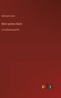 bokomslag Mein grnes Buch