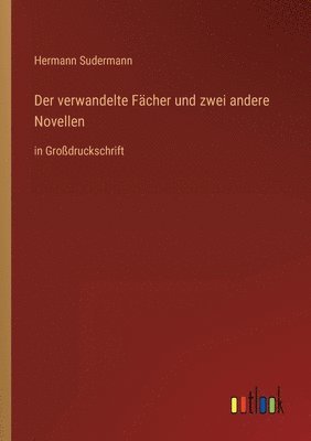 bokomslag Der verwandelte Facher und zwei andere Novellen